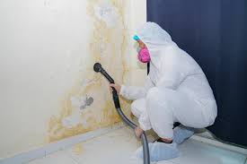 Best Mold Removal for HVAC Installations  in La Huerta, NM